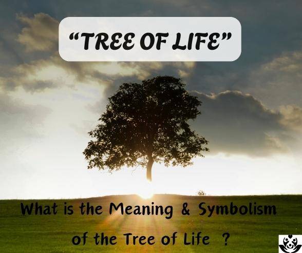 The tree of life meaning symbolism bible