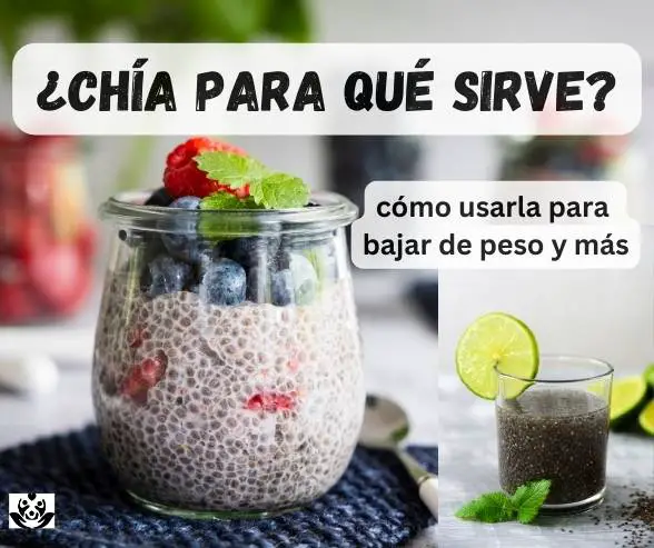 Chia para que sirve Beneficios, como usarla para bajar de peso