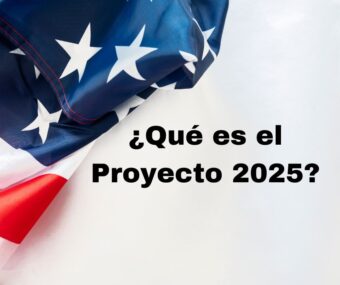 que es el proyecto 2025