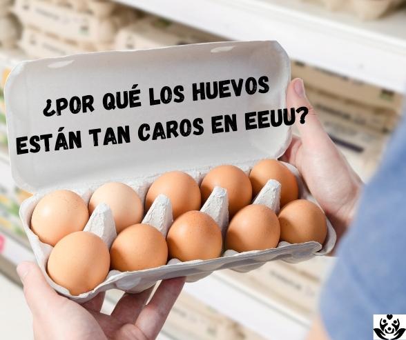 ¿Por qué los huevos están tan caros en Estados Unidos?