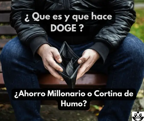 que hace doge y musk